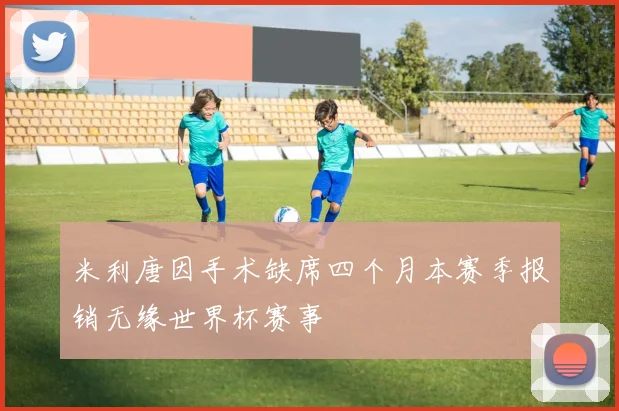 米利唐因手术缺席四个月本赛季报销无缘世界杯赛事